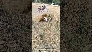 Revolutionary small wheat harvester: boost your harvest yield