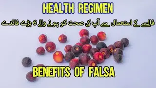 BENEFITS OF FALSA, فالسہ کے فوائد | Black Currant Benefits | Falsa ke faide, Hindi, Urdu