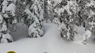 Perfect January Powder on Timbersled