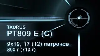 Taurus PT 809 E, C (Семинар Taurus)
