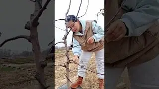 #shorts #agriculture #farming2026 #satisfying #machine #shot #tools  #EliteShortsUnleashed #7771