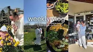 WEEKLY VLOG: primark haul + shopping in birmingham + fun days out + house updates