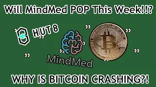 Bitcoin SLAMS down 20% | Is this the week for MindMed? | Morning Mug Weekly Round Up