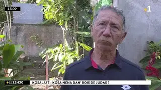 Kosalafé Raymond Lucas bois djudas