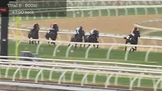 Flemington Jumpouts | 24 October 2014 | Heat 8