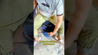 5. 