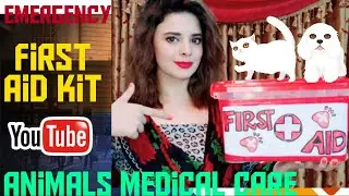 Emergency First Aid Kit For Animals | Dog & Cat Medical Care | How to use it