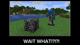 Wait what Minecraft big floppa
