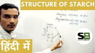 Structure of Starch in Hindi