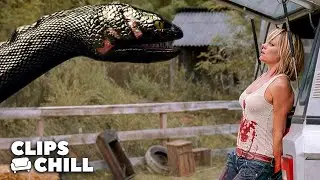 The Anaconda ATTACKS before she even knows | Anaconda 3: Offspring (David Hasselhoff)