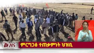 DW International ትግርኛ ዜና ሰዓት 12:30 ፣ 07 ጥሪ 2018 ዓ/ም\watch Live Streaming