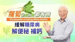 冬天蘿蔔賽人參！消水腫解便秘，蘿蔔皮改善熱潮紅，這部位鈣含量第一名！7年老菜脯竟可改善糖尿病！蘿蔔加1甜物甩開老人咳。記住！1種情況不能吃｜排骨｜胃食道逆流｜眼睛｜ 胡乃文開講Dr.HU_111