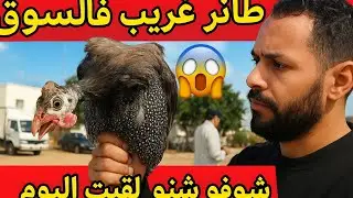 شوفو شنو شريت اليوم من السوق 😱 طائر غريب أول مرة نشوف بحالو