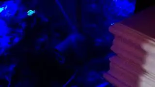 diy sea swirl fake security cam