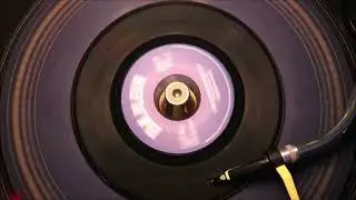 Ren&eacute; Hayes &lrm;&ndash; I Won't Be Satisfied   Damon Records &lrm;&ndash; 42988 45