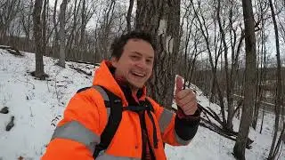 Exploring The Appalachian Trail