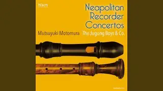 Recorder Concerto in D Minor: I. Amoroso