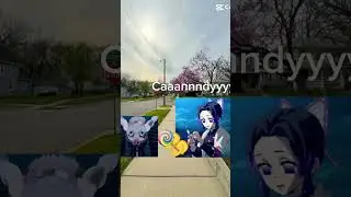 Inosuke and Shinobu core￼