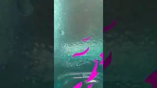 water river sound effect