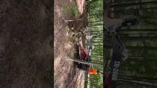 Iron Rhino IR2000 Moving Root Balls