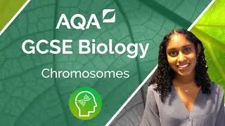 AQA GCSE Biology: Chromosomes