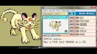 LIVE!! Persian Shiny despu&eacute;s de 142 encuentros (2&deg; Fase)
