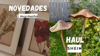 Shein Haul and Muymucho News