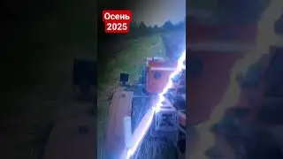 Осень 2025 #automobile #farming #nature #агротехнологии #puppy #agriculture #farmer