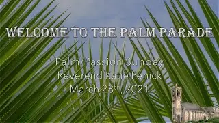 Welcome to the Palm Parade!