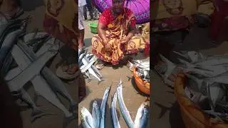fish selling by auction in fish market #fish #fishcutting #fishing #fishmarket #fishselling