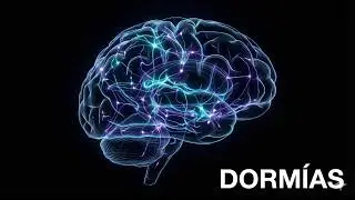 Los Neurocient&iacute;ficos Descubrieron Tu Verdadera Conciencia (Y Est&aacute; Activa Mientras Duermes)