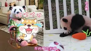 《花花小剧场》 “月亮大王”闪亮登场～