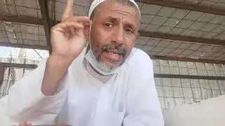 النحل في نجم الدبران وهموم الفراوا