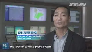 Smart farming! How big data is revolutionizing agriculture in China