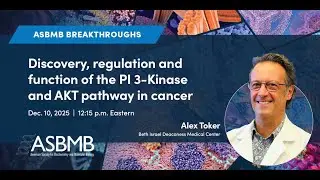 Discovery, regulation and function of the PI 3-Kinase and AKT pathway in cancer