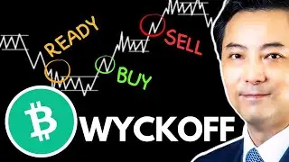 BCH Price Wyckoff Analysis For Serious Investor