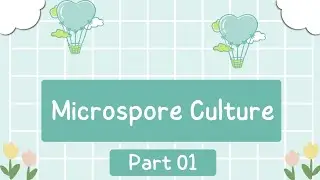 Cram Cafe || Lesson 28: What Is Microspore Culture? || Limitations Of Androgenesis