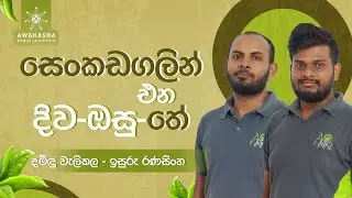 Tea Beyond Tradition: A Journey of Herbal Tea Innovation | Damindu Welikala & Isuru Ranasinghe