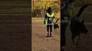 Hardstyles Loco