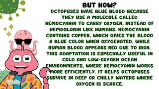 Octopus have blue blood??!🤯🐙 Factlet by Project Sirius × Talking Scorpio 👩‍⚕️✨ #video