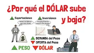 &iquest;Por qu&eacute; el D&Oacute;LAR SUBE y BAJA? - Explicado para Principiantes 🌎