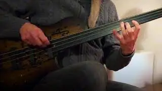 Meridian Mojo Fretless