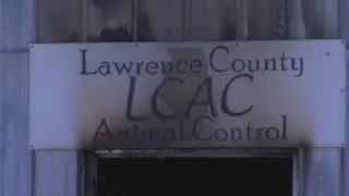 Animal Shelter Set on Fire