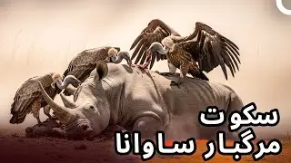 چرخه بی‌رحم بقا در آفریقا☠️ | مستند فارسی