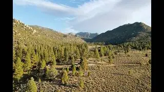 Car Tent camping with 2 kids in Kennady Meadows Califorina