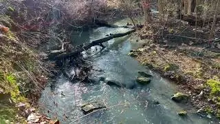 Sidecut Metropark