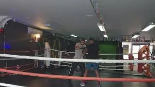 Knockout Moves: Intense Boxing Training with Team Kent in Durban North!