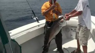 Accurate Reel Boss 500 & Shimano B Trevala jig rod 80-200 pound braid