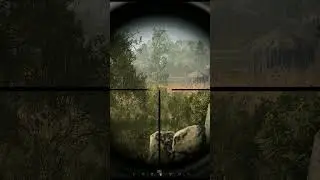 Insane head shot  222 meters #1