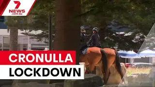 Cronulla revenge riots crushed by police crackdown | 7NEWS
